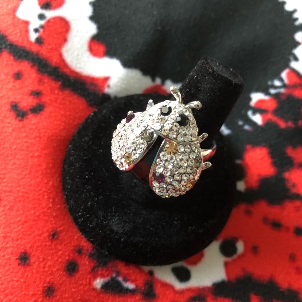 Park lane ladybug 🐞 ring